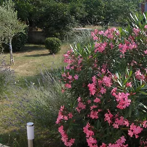 Adriana Appartamento Labin (Istria)