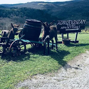 Agroturizam Toni Appartamento Motovun